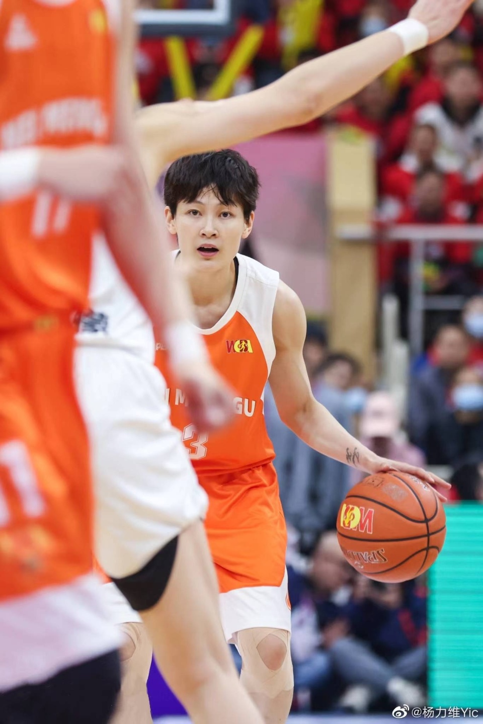 Doinb迎来三赛季出色发挥，澳大利亚队观众热烈欢呼！赢得满堂喝彩的简单介绍-爱游戏中心